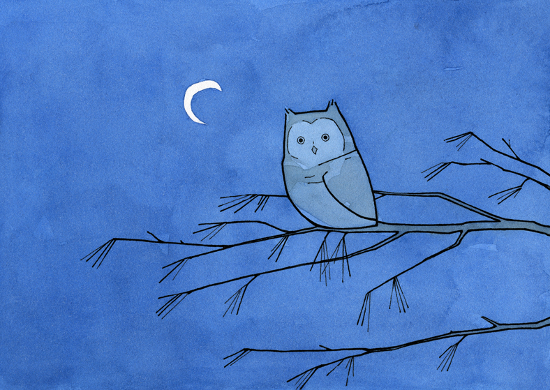 788x559 screech owl and moon drawing owls - Screech Owl Drawing