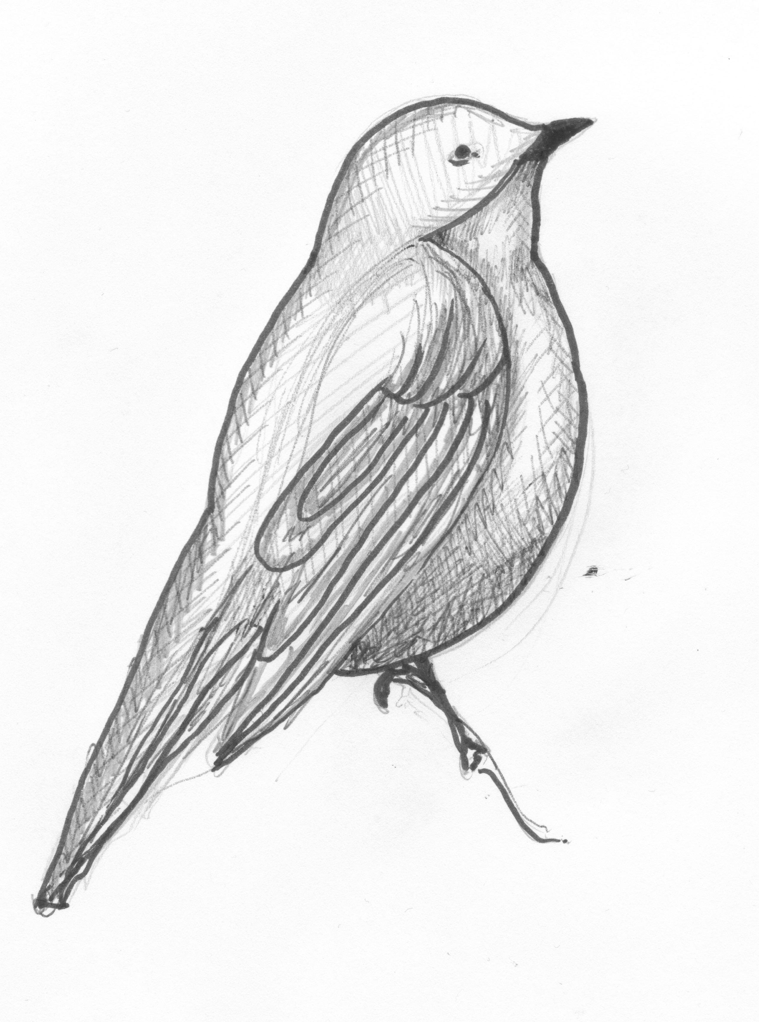 2562x3450 Step Screen Printing Scarves Creating Images Sparrows Green - Screen Printing Drawing