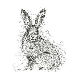 300x297 scribble drawings fine art america - Scribble Drawing