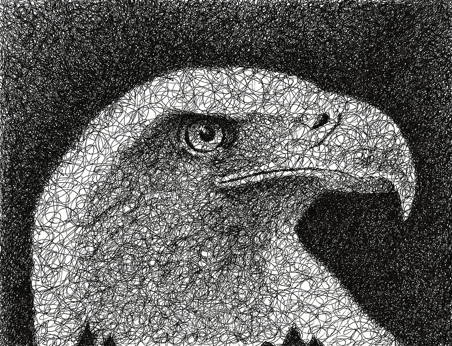 900x689 scribble eagle drawing - Scribble Drawing