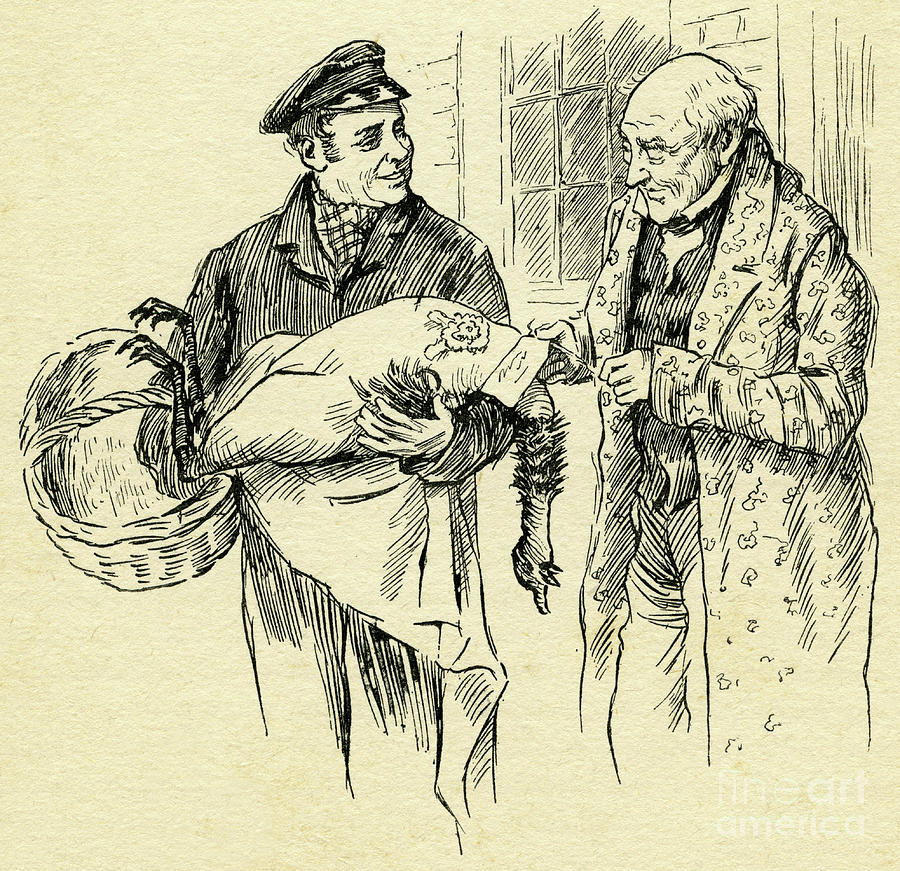 900x871 turkey is delivered on christmas day from mr scrooge drawing - Scrooge Drawing