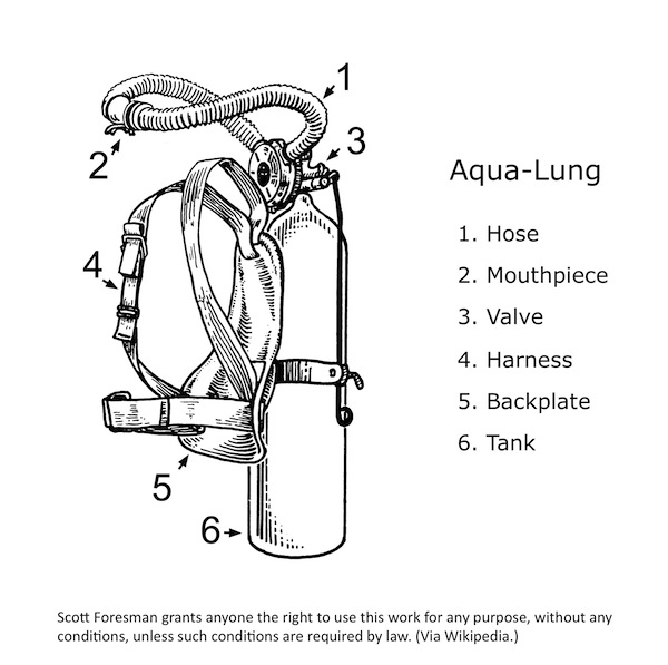 600x597 scuba the giant cuttlefish - Scuba Tank Drawing