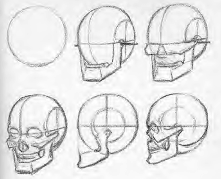 900x730 facial proportions and sculpting a face beginner's school - Sculpting Drawing