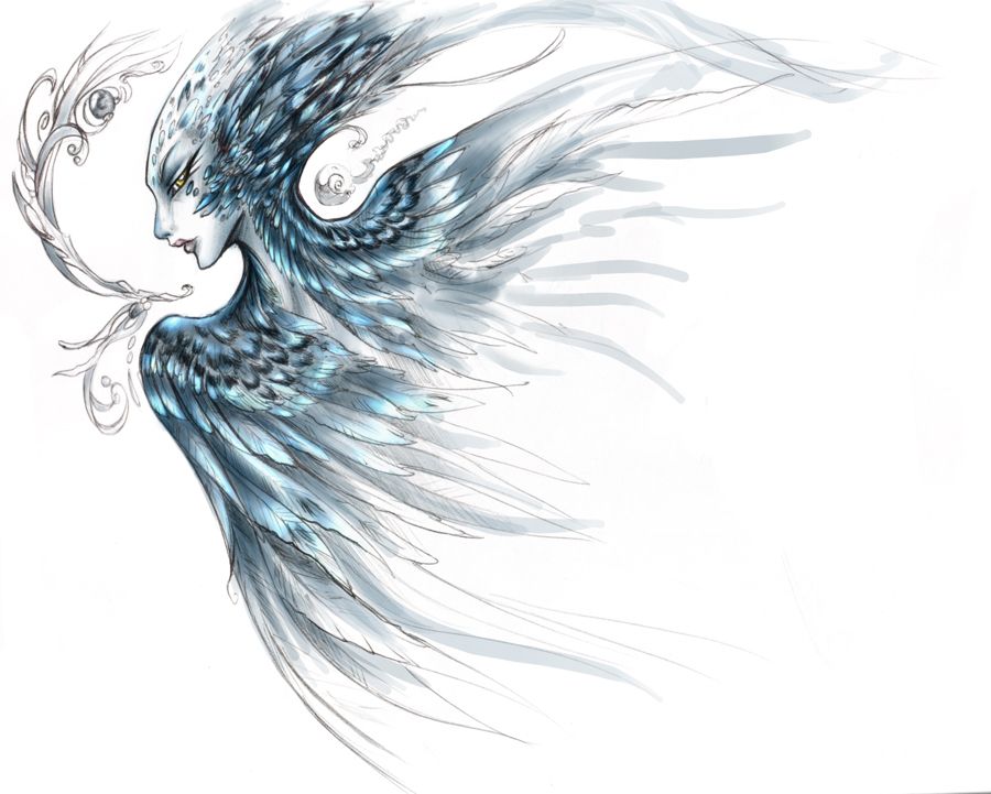 900x721 quick ink drawing of scylla, a sweet monster from the odyssey - Scylla Drawing