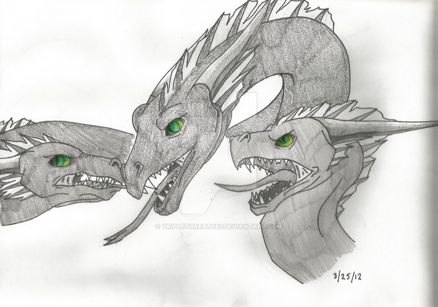 900x631 Scylla - Scylla Drawing