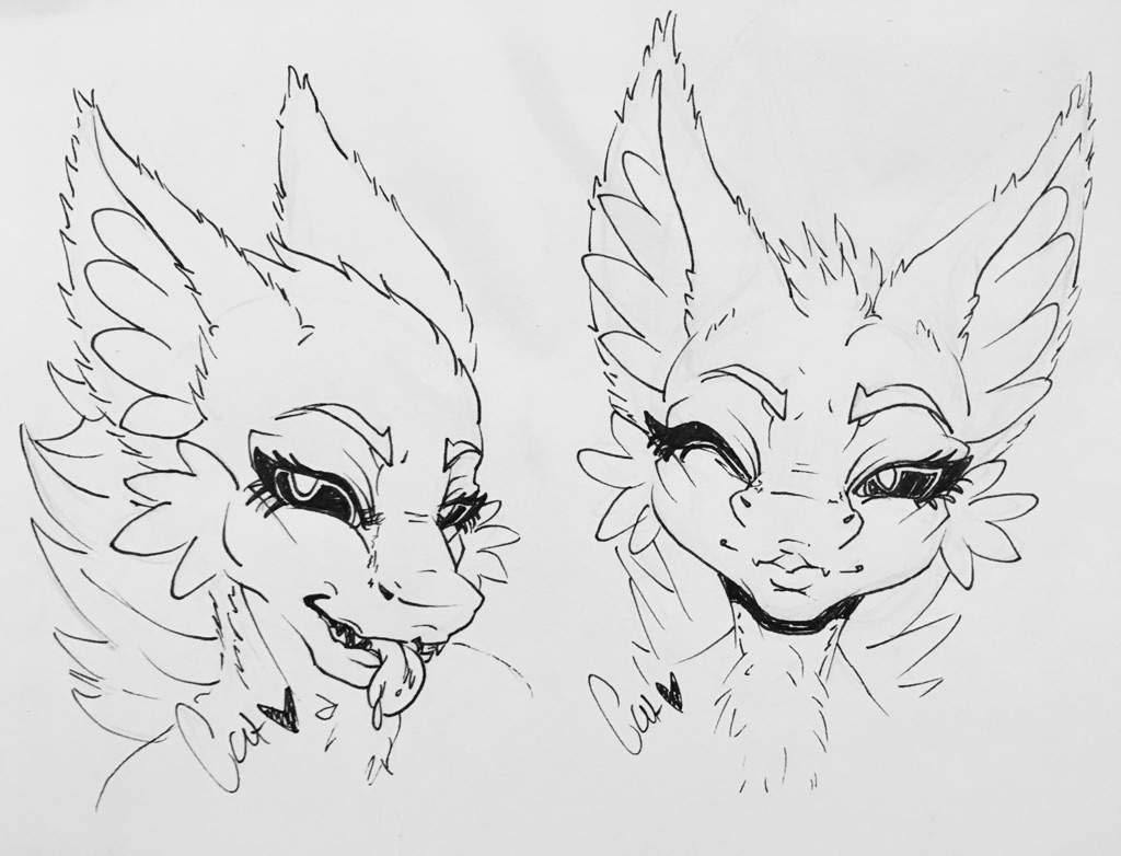 1024x782 Scylla - Scylla Drawing