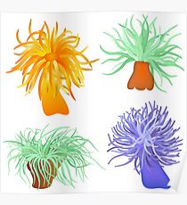 210x230 sea anemone posters redbubble - Sea Anemone Drawing