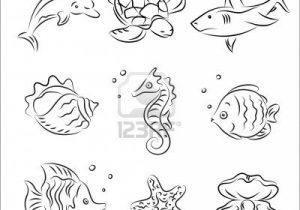 Sea Animals Drawing at PaintingValley.com | Explore collection of Sea