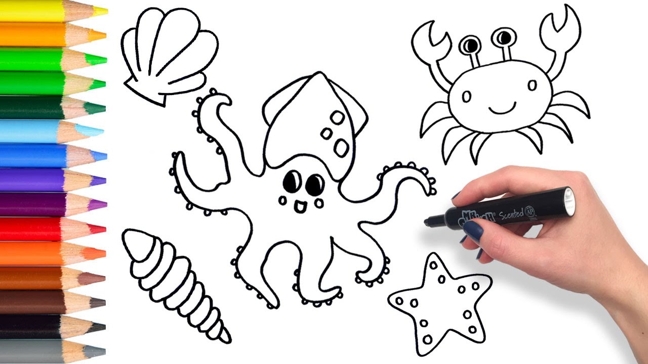 1280x720 How To Draw Sea Creatures Compilation Learning Coloring Pages - Sea Animals Drawing