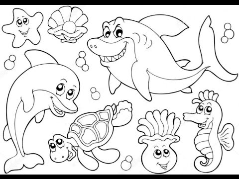 480x360 Kids Learn Ocean Animals - Sea Animals Drawing