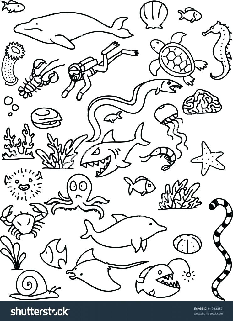 Cartoon Easy Sea Animals To Draw