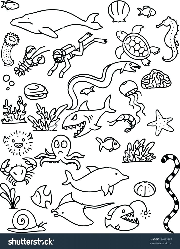 sea-animals-drawing-at-paintingvalley-explore-collection-of-sea