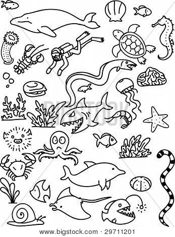 347x470 How To Draw Sea Life - Sea Animals Drawing