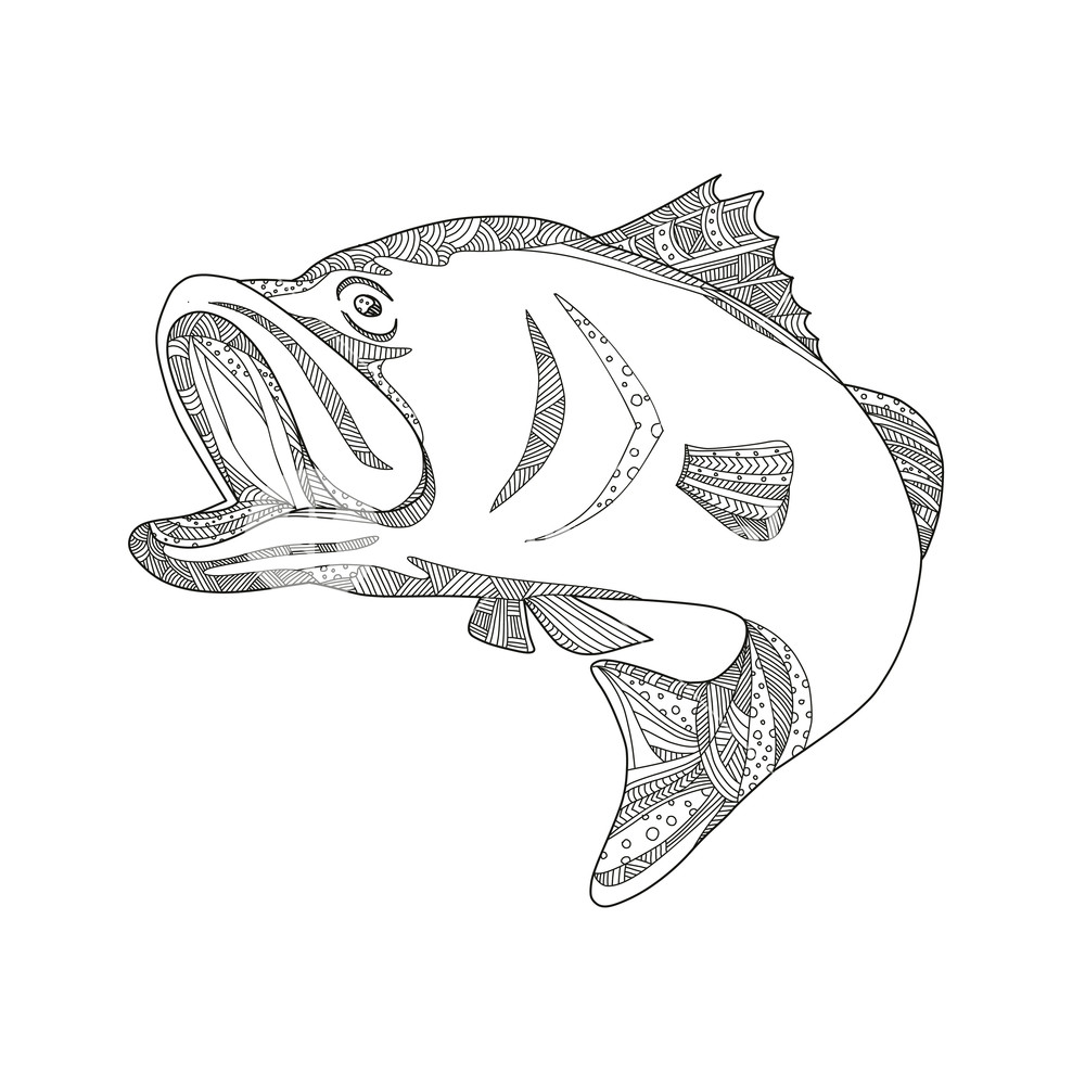 1000x1000 doodle art illustration of a barramundi or asian sea bass - Sea Bass Drawing