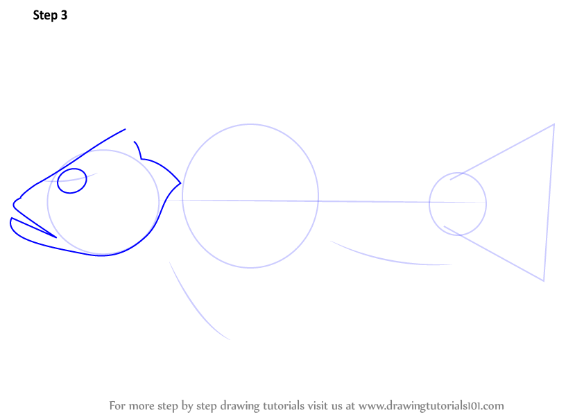 842x598 learn how to draw a black sea bass - Sea Bass Drawing