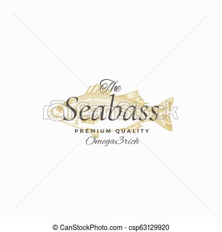 450x470 the best sea bass abstract vector sign, symbol or logo template - Sea Bass Drawing