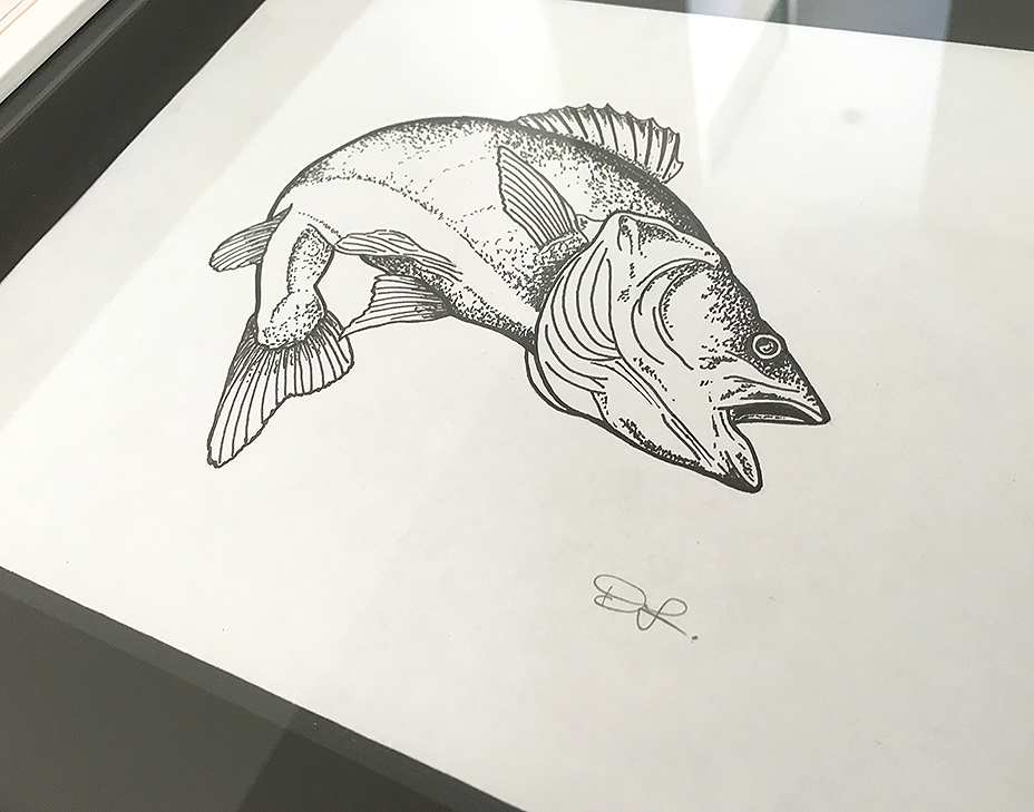 928x729 White Seabass Ink Drawing Artlife - Sea Bass Drawing