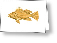 226x170 black sea bass drawing digital art - Sea Bass Drawing