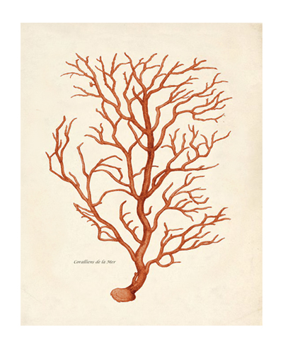 400x500 Coral Sea Change - Sea Coral Drawing
