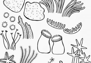 300x210 Coral Drawing For Kids Collection Of Under The Sea Corals - Sea Coral Drawing