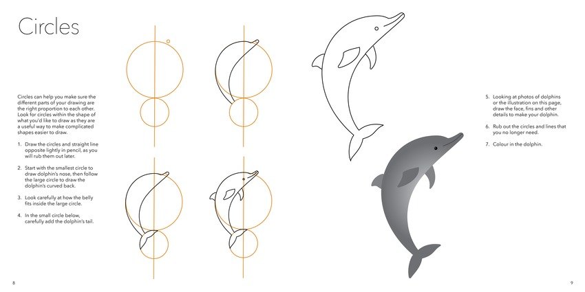 850x425 how to draw sea creatures - Sea Creatures Drawing