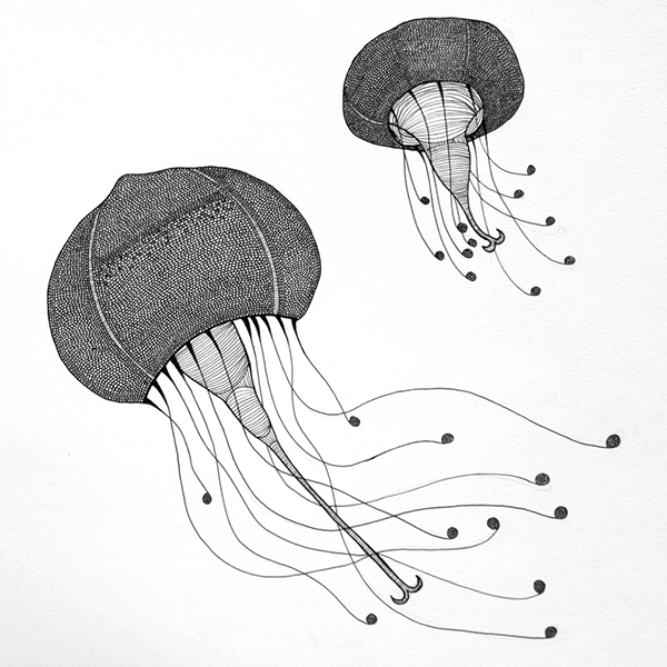 600x600 sea creatures on student show - Sea Creatures Drawing