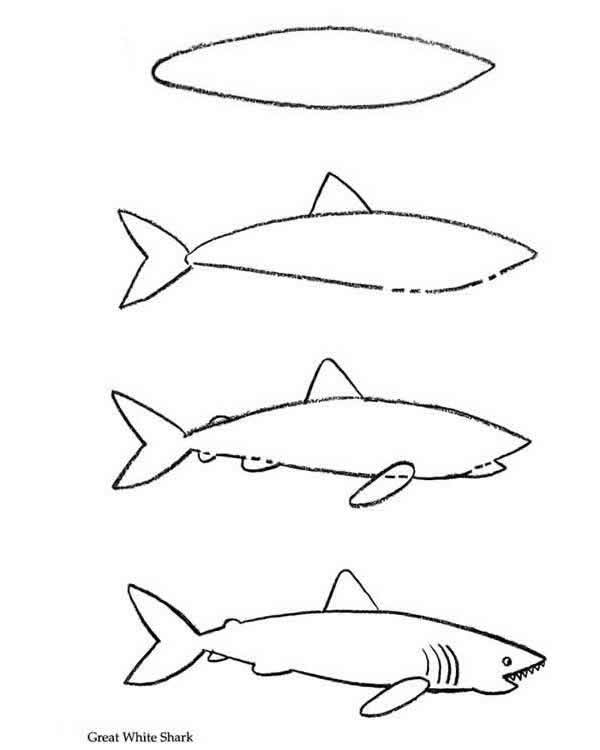 600x750 Welcome To Dover Publications - Sea Creatures Drawing