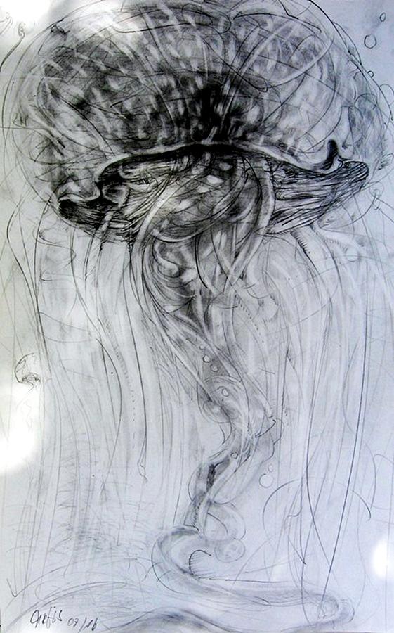 561x900 deep sea creatures drawing - Sea Creatures Drawing