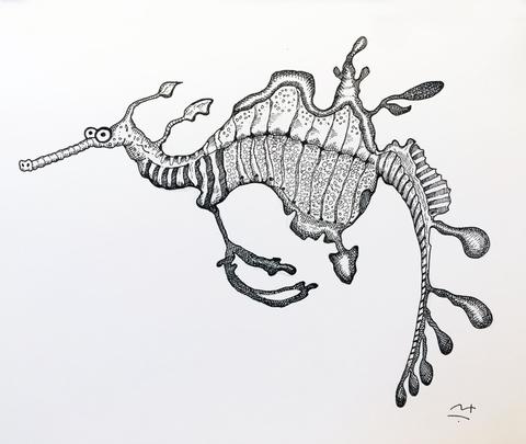 480x405 news leafy sea dragon squidinki - Sea Dragon Drawing