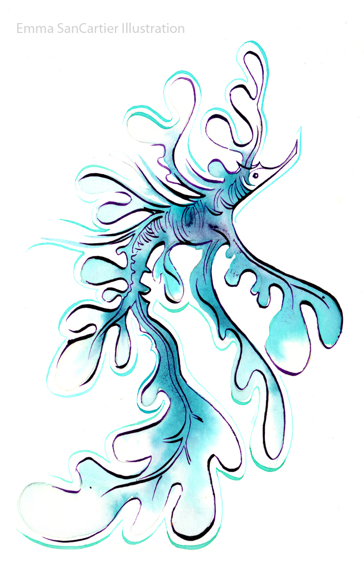 741x1150 odd prague blog monday creature drawing, the leafy sea dragon - Sea Dragon Drawing