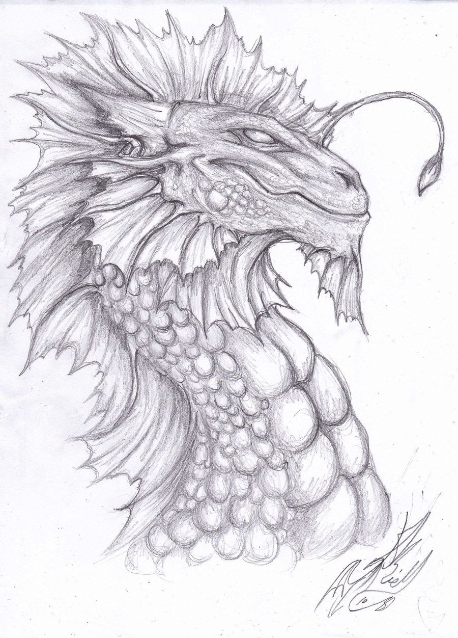 Sea Dragon Drawing At Paintingvalley Com Explore Collection Of