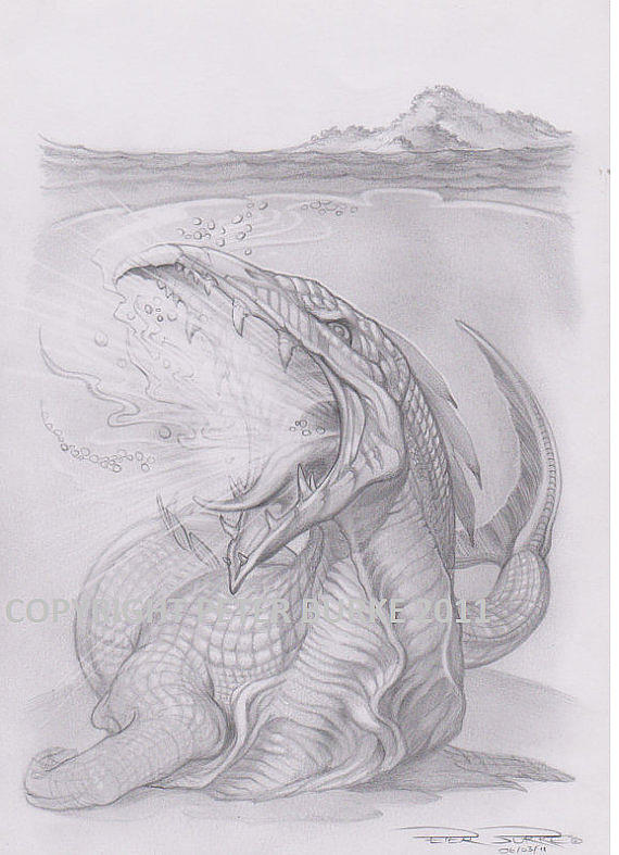 570x787 Secret Ancient Sea Dragon Pencil Drawing Drawing - Sea Dragon Drawing