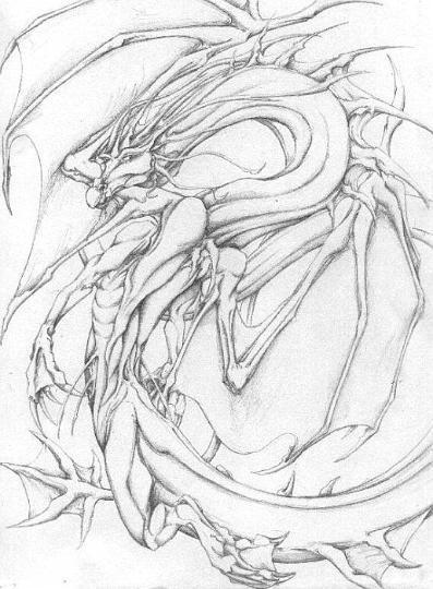 397x540 Doodles And Drawings Images Winged Sea Dragon Wallpaper - Sea Dragon Drawing