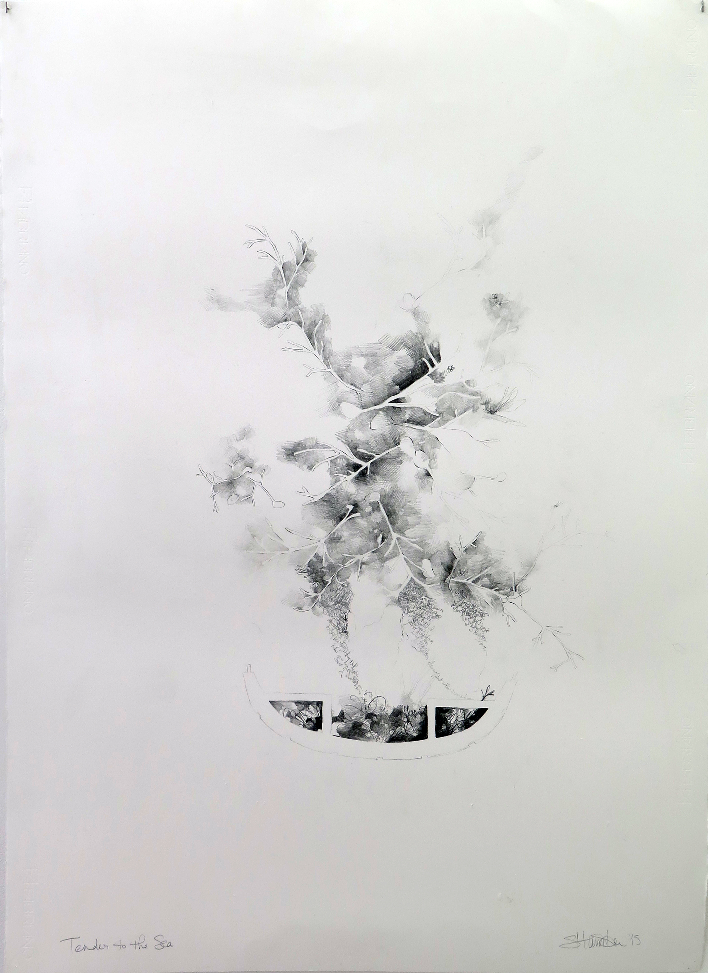 2400x3300 Tender To The Sea Humston - Sea Drawing