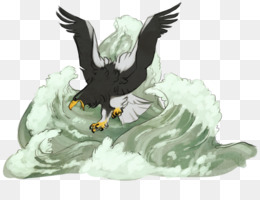 260x200 sea eagle png - Sea Eagles Drawing