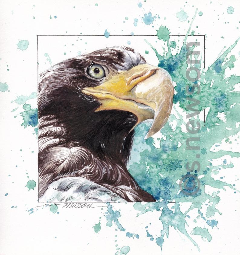 794x846 eagle print stellers's sea eaglewatercoloreagleartwild etsy - Sea Eagles Drawing