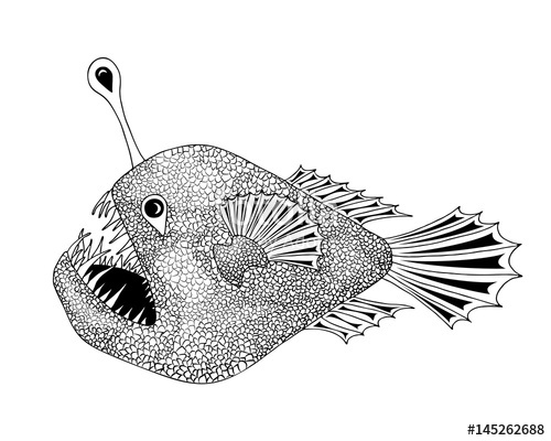 500x400 anglerfish black on white illustration vector deep sea fish ink - Sea Fish Drawing