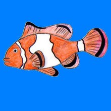 220x220 How To Draw Sea Animals - Sea Fish Drawing