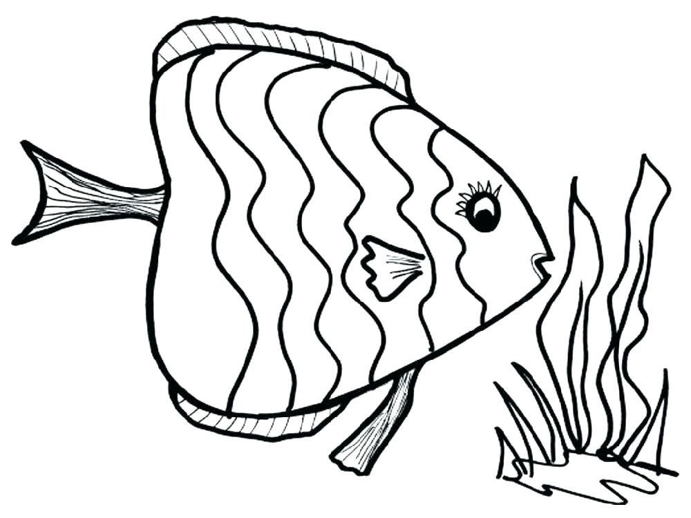 1000x750 sea fish coloring pages aquarium animals fascinating beautiful - Sea Fish Drawing