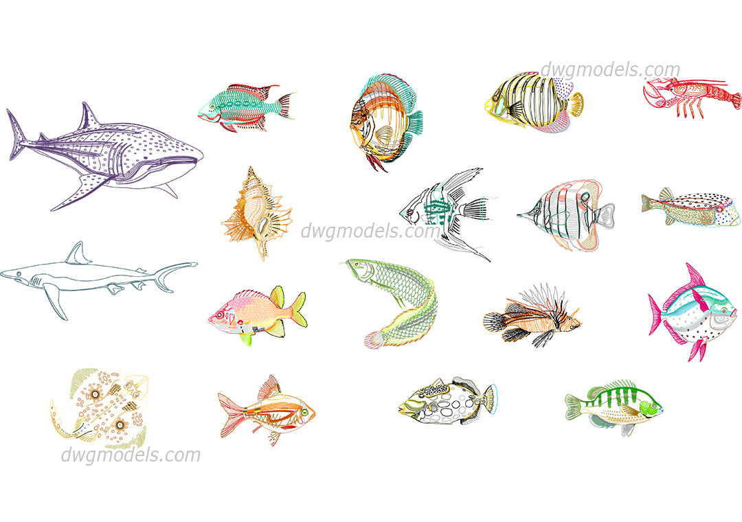 1080x760 Sea Fish Dwg, Free Cad Blocks Download - Sea Fish Drawing