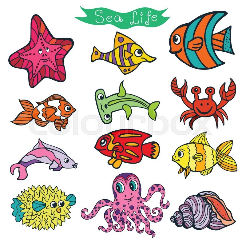 800x800 Sea Life Animals Set Fish, Octopus, Stock Vector Colourbox - Sea Fish Drawing