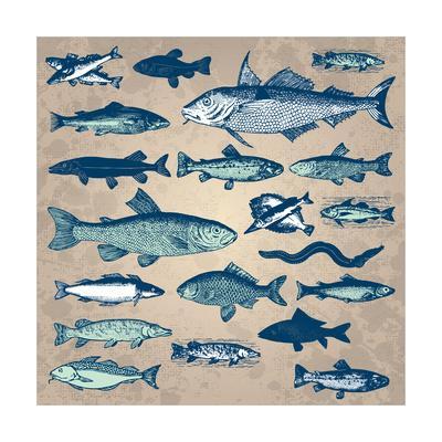 400x400 Vintage Fish Drawings Set, Vector Illustration Underwater World - Sea Fish Drawing