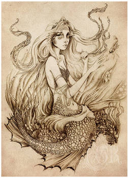 252x350 On The Sea Floor - Sea Floor Drawing