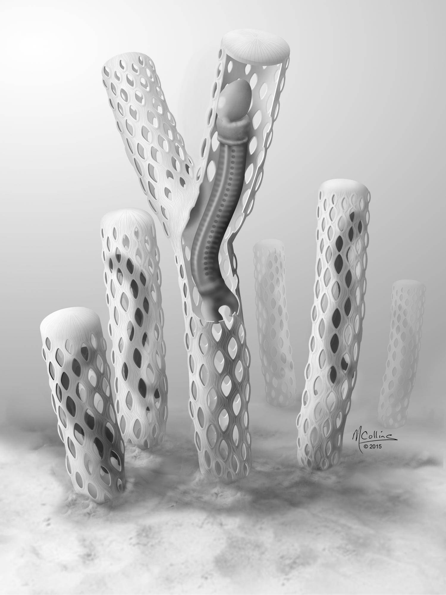 1500x2000 the secret to an oesia life prehistoric worm built tube like - Sea Floor Drawing