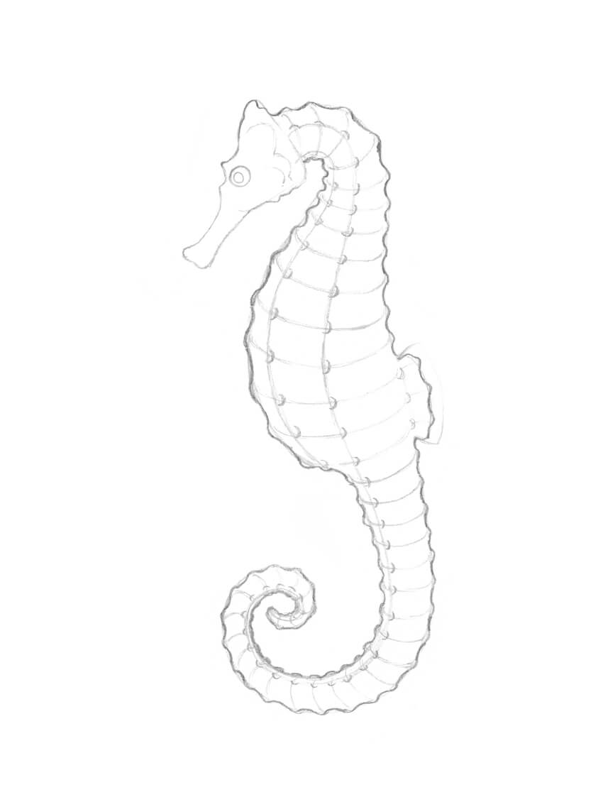 850x1123 How To Draw A Seahorse With Black And Grey Ink Liners - Sea Horse Drawing