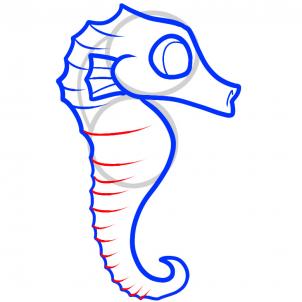 302x302 How To Draw How To Draw A Seahorse For Kids - Sea Horse Drawing