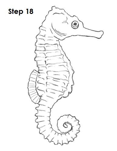386x500 Seahorse Drawing Quilt Ideas In Seahorse Drawing - Sea Horse Drawing