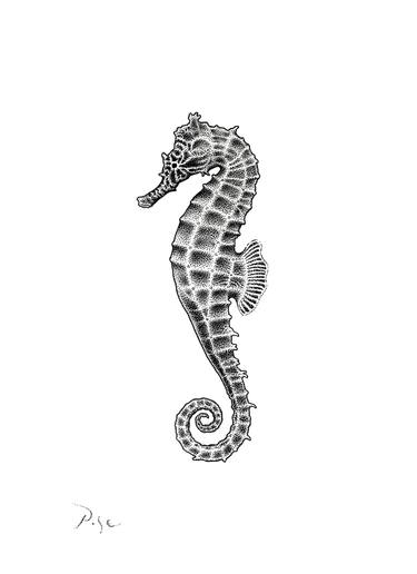 375x516 Seahorse Drawing - Sea Horse Drawing