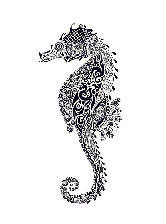 666x900 Seahorse Drawing - Sea Horse Drawing