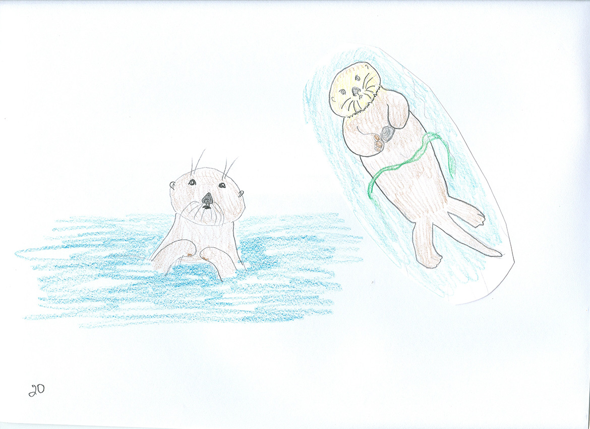 1170x850 Geology Program - Sea Life Drawings